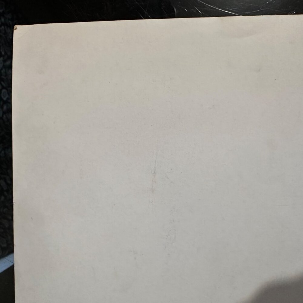 Vintage 1959 "Lil Abner" Movie Still 8x10 Photo - Picture 10 of 13